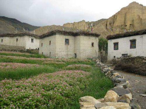 TREKKING IN MUSTANG 2010